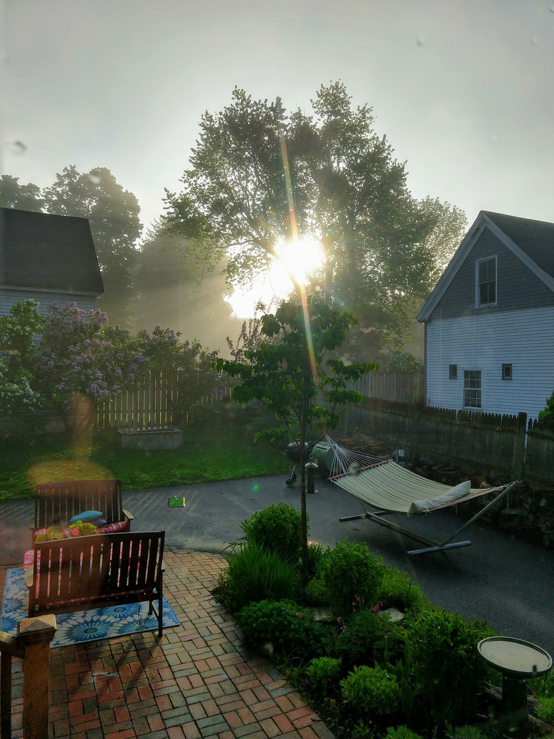 2019-06-03-backyard-sunrise.jpg